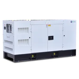 Generador diésel silencioso de 23KVA 18KW de entrega rápida de alta calidad alimentado por motor Cummins con ATS