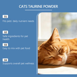 Poudre de Taurine pour la Vitalité des Chats OEM/ODM - Sans Céréales, Soin Cardiaque et Immunitaire, Alimentation à Ingrédients Limités - Product Image 5