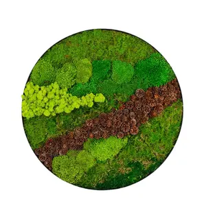 Hot Selling Customized Preserved Moss Wall Art Frame Hor Home Decoration