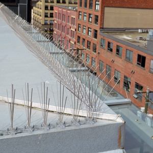 2024 mới chống leo lên hàng rào tường chống leo lên răn đe nhựa ngoài trời nâng cấp nhỏ sâu bệnh chống mèo chim bồ câu chim gai - Product Image 6