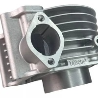 Kit de Mantenimiento para Cilindro de Motor de Motocicleta DS150 WS150 GS150: Anillos de Pistón, Juntas y Retenes de Aceite
