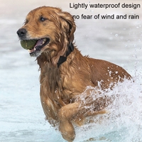 FindMy Smart Pet Locator Collier pour chats et chiots Anti Lost Tracker Localisateur mondial à distance pour IOS