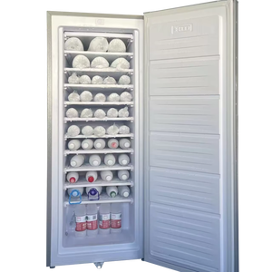 Congelador Vertical <span class=keywords><strong>de</strong></span> 196L con Energía Solar, DC 12V 24V, Congelador Comercial para el Hogar, Sin Conexión a la Red - Product Image 1