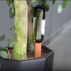 Il Funzionamento di Terracotta Irrigazione Spike Bottiglia-Impianto di Trattamento Delle Acque, Pianta di Auto Sistema di Irrigazione <span class=keywords><strong>per</strong></span> Pianta Waterer - Product Image 4