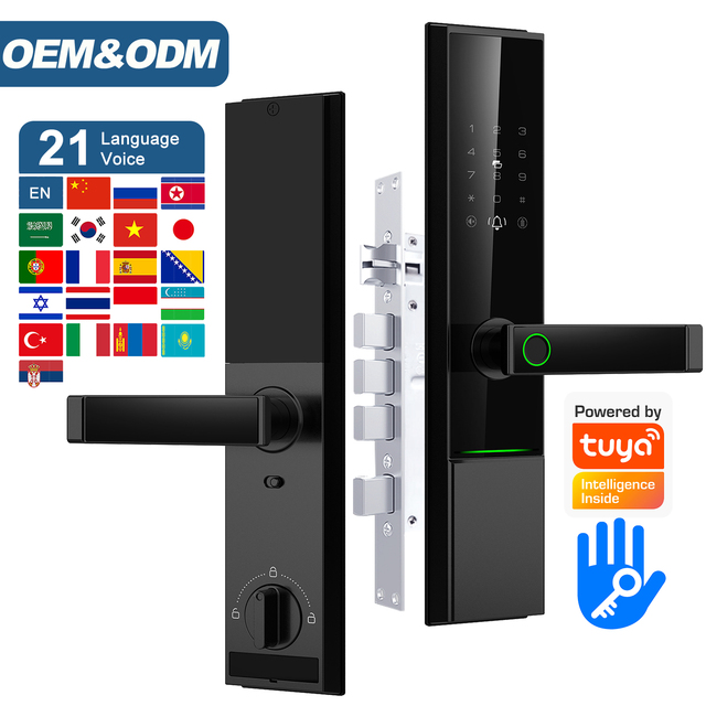 Home Security Door Smartlock 6068 6072 6085 Mortise TTLock Tuya Wifi Digital Biometric Fingerprint Smart Lock for Front Door