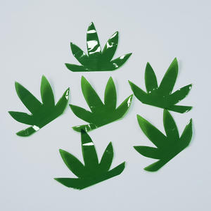 Arowana verte, feuille de la fortune, fonctionne exactement comme le poisson de la fortune - Product Image 5