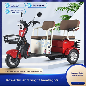 Robust Household Electric Tricycle <b>Passenger</b> & Freight Dual Use - Product Image 1