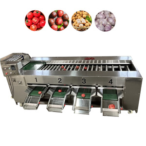 Machine automatique de tri et de calibrage des fruits, machine de lavage et de tri des pommes de terre, tomates, pommes, trieuse de fruits - Product Image 1