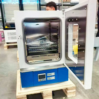 Horno de Secado por Aire Forzado BIOBASE CHINA con Ventana de Observación, 23L~88L, Horno de Secado para Laboratorio