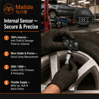 Monitor TPMS para Auto con Certificación IP67, Pantalla Magnética, Datos en Tiempo Real de 4 Neumáticos RF434MHz para Camioneta, Proveedor Mayorista