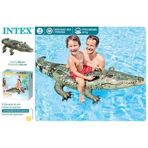 Bouée gonflable Intex Ride On Crocodile 170x86 cm pour s'amuser dans la piscine - Product Image 3