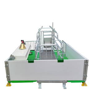 Vendita calda attrezzature per l'allevamento di suini automatico gabbia per scrofe per uso domestico reso disponibile in acciaio nuovo stato usato