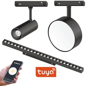 Smart Dimmable Magnetic Track Lights DC48V Tuya App WiFi Alexa Google Assistant Voice Remote Control Adjust LED Rail Lamp