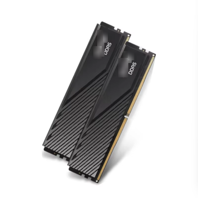 Original High-performance Office Gaming Home Memory Desktop Memory D300 XPG DDR5 6000MHZ 6400MHZ 6800MHZ 16GB*2 32GB*2 48GB*2