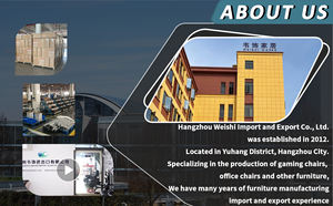 Ws7781color Maatwerk Ergonomische Gaming Stoel Racestijl Woonkamer Stoel Pu Bureaustoel - Product Image 5