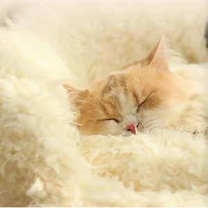 Cama cálida de invierno para perro, sofá redondo de madera de lujo para gatos y mascotas, <span class=keywords><strong>camas</strong></span> individuales de <span class=keywords><strong>canguro</strong></span>, dos colchones de marca para perros - Product Image 3