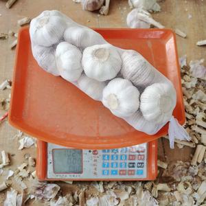 Vente chaude d'ail blanc frais de Chine, prix de l'ail 1 kg à vendre au <span class=keywords><strong>Bénin</strong></span> et au Togo - Product Image 1