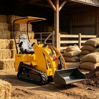 Chargeuse sur chenilles mini, engin de construction, à moteur essence, système de chenilles efficace, équipement industriel pour travaux de terrassement