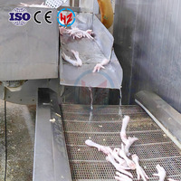 Matrice de traitement des volailles Haoze Easy-Clean |   500-15000BPH |   Solution clé en main |   Épluchage des plumes après l'abattage |   CE/ISO9001