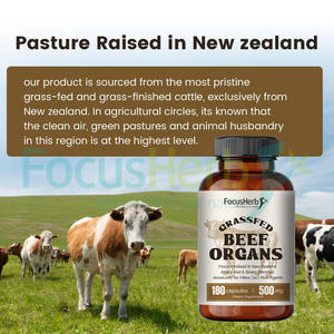 Cápsulas FocusHerb de Órganos de Res Alimentado con Pasto 5 en 1 (Hígado, Corazón, Riñón, Páncreas, Linfático) para Apoyo Inmunológico - Product Image 6
