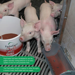 Comedero Damino PlayFeeder diseñado para lechones que estimula la absorción temprana de hierro con dos posiciones y fácil uso para fórmula de hierro en polvo - Product Image 2