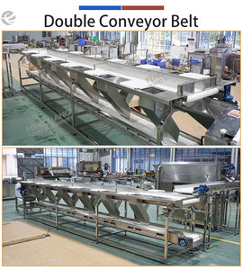 Système de convoyage alimentaire industriel sur mesure, couches et dimensions personnalisées, SUS304 pour la connexion aux lignes de traitement - Product Image 5