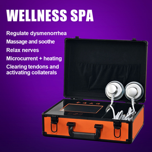 Multifunktionales Meridian-Dredging-Instrument DDS Master Bioelektrisches Massagegerät Elektrotherapie-Körperpflegegerät gegen Schmerzen - Product Image 1