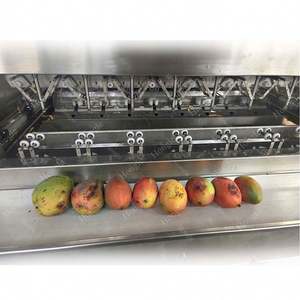 Machine d'épluchage automatique de mangue d'ananas de prix usine - Product Image 4