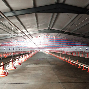 Équipement automatique de volaille pour l'élevage et la transformation de poulets de chair État neuf - Product Image 1