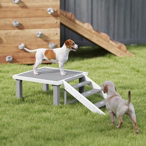 Holz Hunde training Tischplatte - Product Image 6