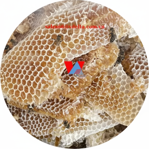 ¡Venta caliente 2025! Pure Raw Honeycomb 100% Natural & Sin procesar/Suministro a granel disponible para exportación desde Vietnam / Lily + 84 906927736 - Product Image 1