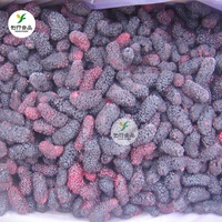 Iqf Bevroren Fruit Zwarte Moerbei