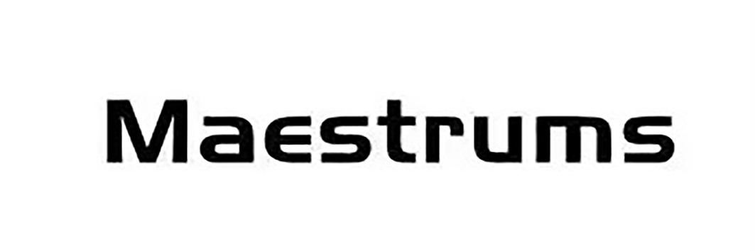 Wuxi Maestrum New Materials Supplies Co., Ltd. logo