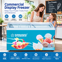 Congélateur horizontal commercial de 468 L pour glaces, vente en gros, en vrac