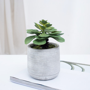 Spéciale incroyable artificielle plantes succulentes cactus herbe bonsaï avec <span class=keywords><strong>pot</strong></span> en béton pour la décoration - Product Image 1