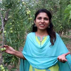 Óleo de <span class=keywords><strong>Amla</strong></span> 100% Puro Indiano Fornecedor OEM a Granel - Product Image 2