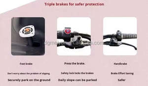 <span class=keywords><strong>Tricycle</strong></span> électrique avec auvent rideau de pluie Transport familial pour ramasser les enfants <span class=keywords><strong>Tricycle</strong></span> électrique à 3 roues adulte - Product Image 3