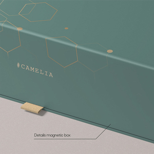 Caja de Regalo de Papel con Recubrimiento de Color Personalizado, Caja con Tapa Magnética y Logotipo Personalizado - Product Image 5