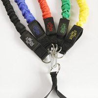Juego de bandas de resistencia de tubo de ejercicio físico Logotipo personalizado TPE Ecológico Durable para entrenamiento de fuerza Práctica de dominadas