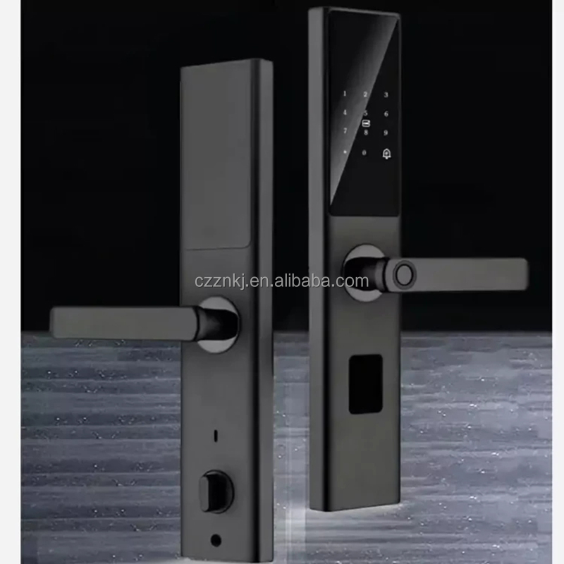 Chenzhuo Z13V Smart Fingerprint Door Lock Aluminum Alloy WiFi Tuya App Memory Card Wood/Aluminum/Steel Door Office High Security · image 6