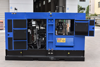 Générateur diesel silencieux 50 kVA, alternateur en cuivre pur, capot insonorisé, triphasé, pour alimentation de secours résidentielle