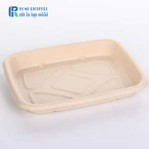 Plato Cuadrado Biodegradable de Bagazo de Caña de Azúcar Ecológico, 750 ml, 1500 ml, 2500 ml, Plato Desechable Biodegradable de Bagazo - Product Image 2