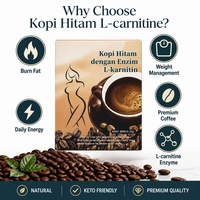 Café instantané minceur au chocolat noir saveur sucre, L-Carnitine pure naturelle, faible MOQ, personnalisable, directement de l'usine