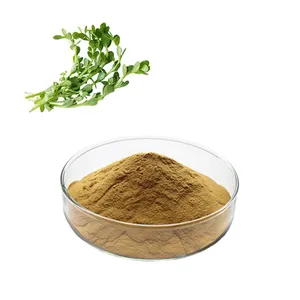 HONGDA Bột Purslane Hữu Cơ Chiết Xuất Purslane