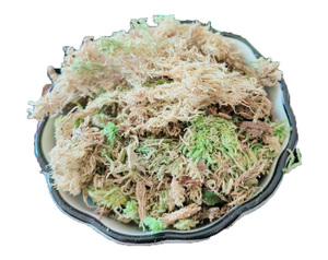 Terreau nutritif de sphagnum sec de haute qualité, enrichi en tourbe - Product Image 2