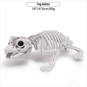 Adornos Decorativos <span class=keywords><strong>de</strong></span> Halloween con Forma <span class=keywords><strong>de</strong></span> <span class=keywords><strong>Esqueleto</strong></span> <span class=keywords><strong>de</strong></span> <span class=keywords><strong>Rana</strong></span>, Simulación <span class=keywords><strong>de</strong></span> Animales, para Decoración <span class=keywords><strong>de</strong></span> Bares y Casas Encantadas - Product Image 1