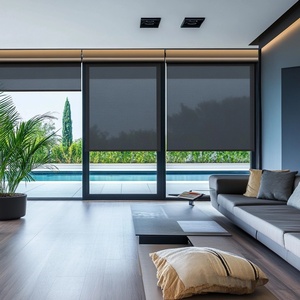 Tự động Con Lăn Đôi cho sắc thái cơ giới rèm cửa sổ cơ giới Rèm cửa màn hình từ xa ngoài trời Rèm cơ giới con lăn - Product Image 1