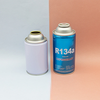 Bombe aérosol vide rechargeable personnalisée de 200 ml pour réfrigérant automobile, compatible gaz R134a R600a