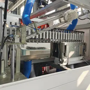 10cavity Adjustable Spacing Full Automatic Pet Bottle Blowing Machine Automatic PET Bottle Making Machine Stretch