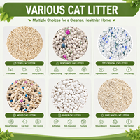 Litière pour chat en bentonite, forte capacité à agglomérer, contrôle des odeurs, usine ODM